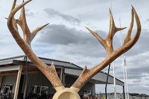 Big Antlers image