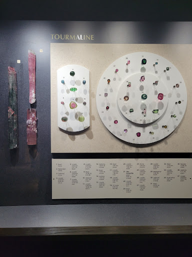 Natural History Museum «Cleveland Museum of Natural History», reviews and photos, 1 Wade Oval Dr, Cleveland, OH 44106, USA