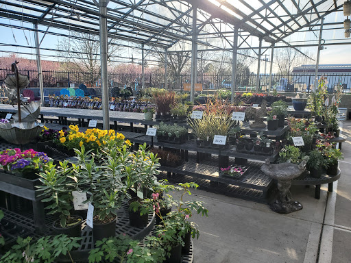 Animal Feed Store «Wilco Farm Store», reviews and photos, 2300 E Hancock St, Newberg, OR 97132, USA