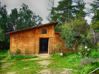 Tejidos Hilanderas de Colliguay