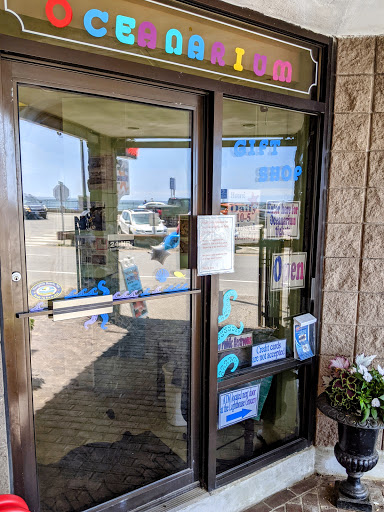 Aquarium «Explore the Ocean World, llc Oceanarium», reviews and photos, 367 Ocean Blvd, Hampton, NH 03842, USA