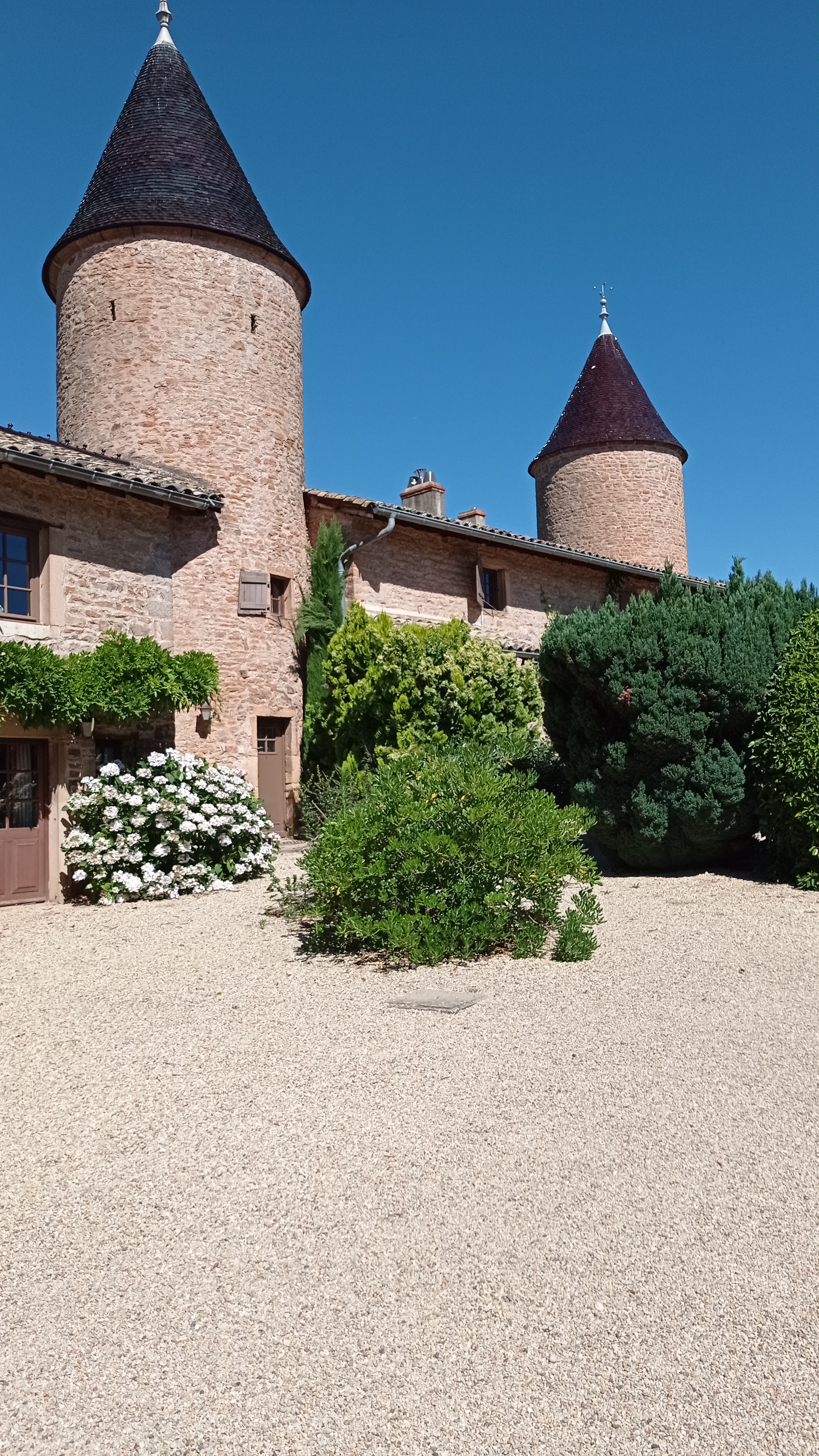 Photo n° 1 de l'avis de Alice.a fait le 21/07/2022 à 11:35
