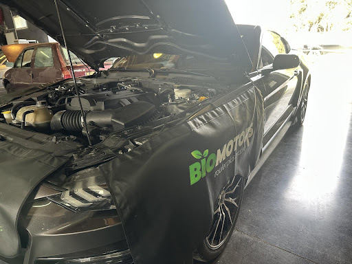 Photo 3 - Focone Frédéric