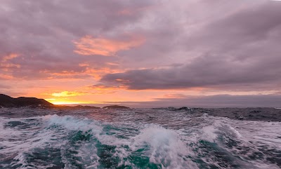 浜丸渡船