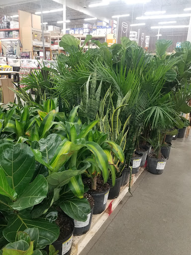 Home Improvement Store «The Home Depot», reviews and photos, 250 S Mountain Ave, Upland, CA 91786, USA