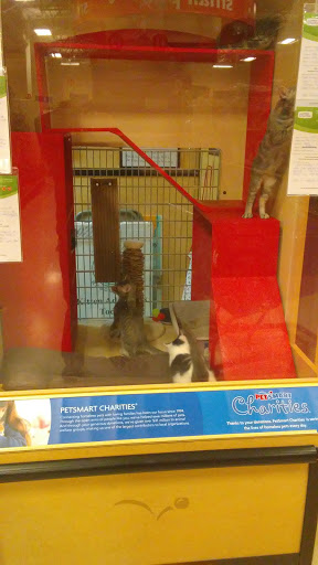 Pet Supply Store «PetSmart», reviews and photos, 10363 Fairway Dr, Roseville, CA 95678, USA