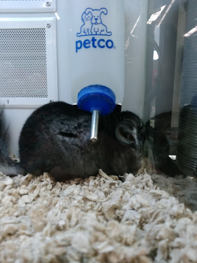 Pet Supply Store «Petco Animal Supplies», reviews and photos, 4013 W Walnut St, Rogers, AR 72756, USA