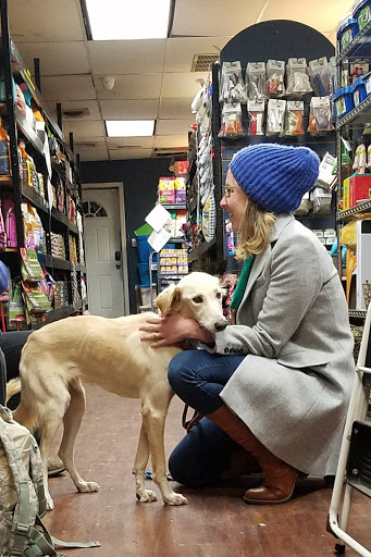 Pet Supply Store «Howl To the Chief», reviews and photos, 733 8th St SE, Washington, DC 20003, USA