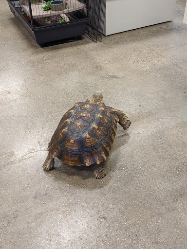 Pet Supply Store «Premier Pet Supply», reviews and photos, 31215 Southfield Rd, Beverly Hills, MI 48025, USA