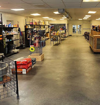 Branded Feed and Farm Supply - Photo 2 - Car repair in Bakersfield, CA, Bakersfield