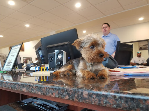 Dodge Dealer «Benny Boyd Lampasas Chrysler Dodge Jeep Ram», reviews and photos, 601 N Key Ave, Lampasas, TX 76550, USA
