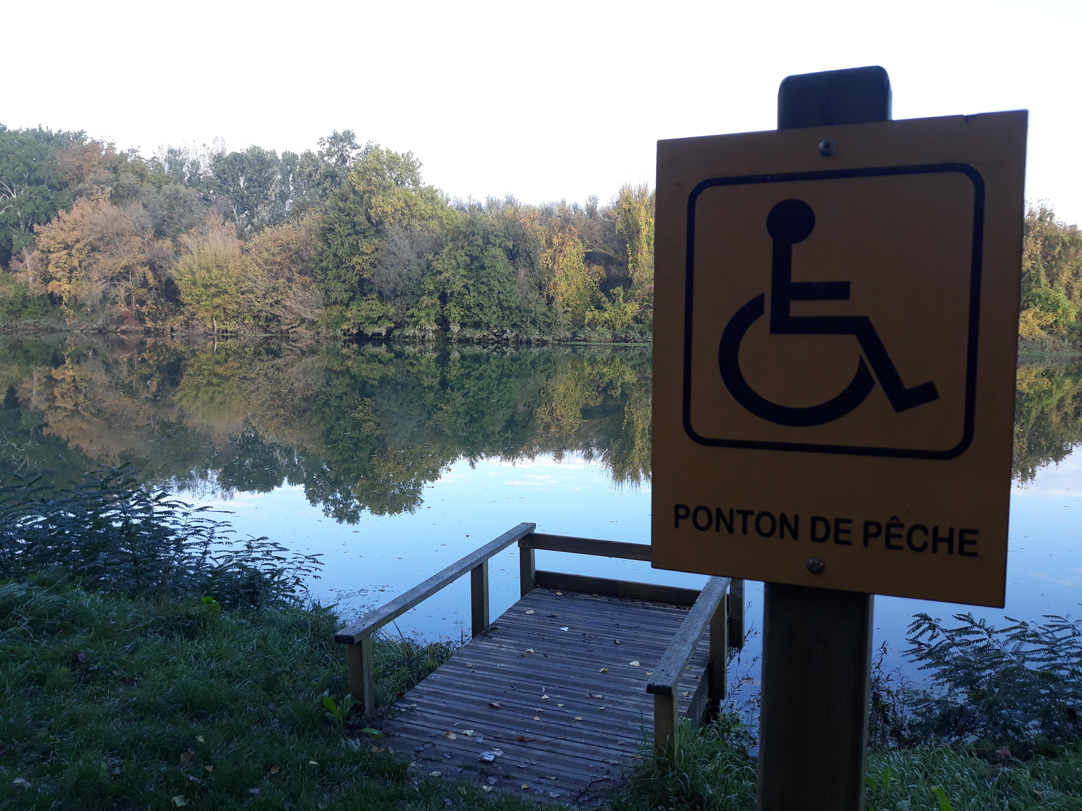 Photo n° 3 de l'avis de MG. fait le 30/10/2019 à 08:31