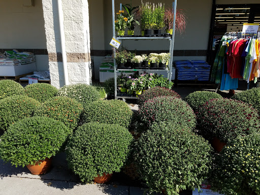 Department Store «Bi-Mart», reviews and photos, 3003 Addy St, Washougal, WA 98671, USA