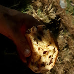 Photo n°13 de l'avis de R_.n fait le 15/06/2022 à 21:06 sur le  Il Pangocciolaio - Ostiense à Rome