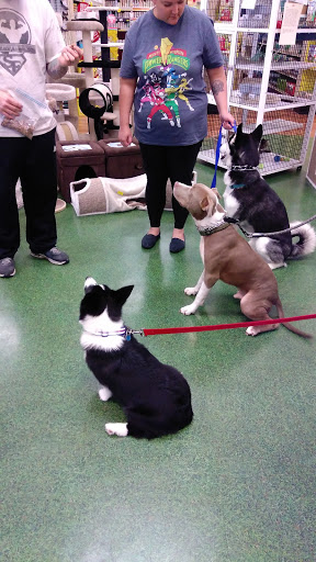 Pet Supply Store «Pet Supermarket», reviews and photos, 2749 S Church St, Burlington, NC 27215, USA