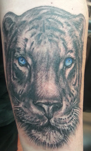 Explore bulldog tattoo ideas, creative tattoo ideas in Peoria, available at Mad Tattoo and Piercing
