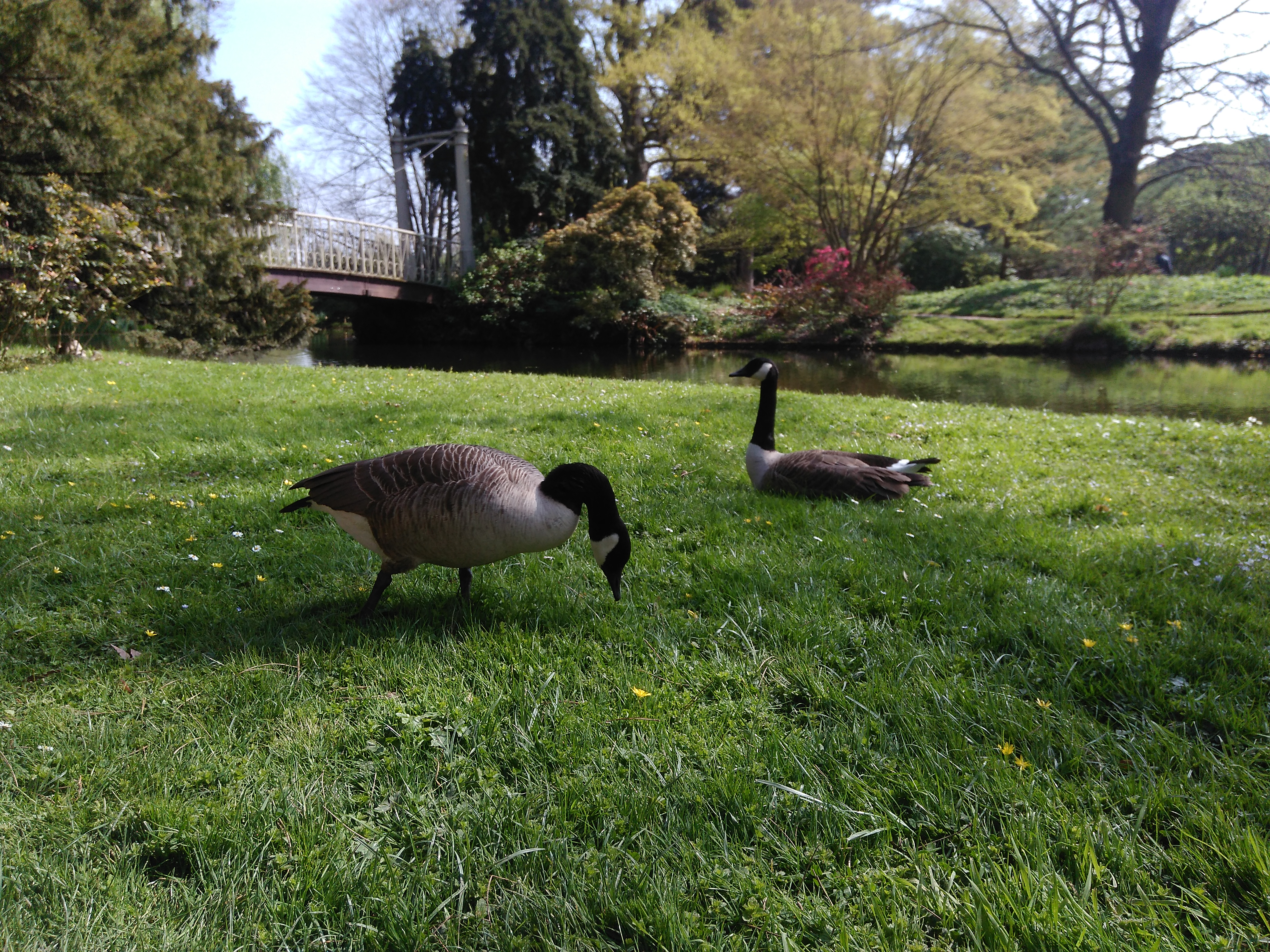 Photo n° 4 de l'avis de Nicolas.a fait le 08/04/2017 à 14:08