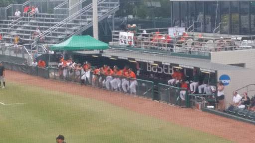 Baseball Field «Alex Rodriguez Park», reviews and photos, 6201 San Amaro Dr, Coral Gables, FL 33146, USA