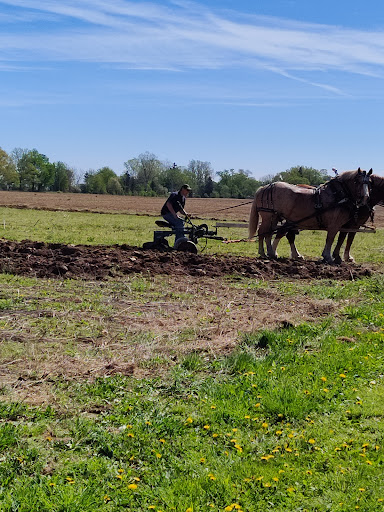 Nature Preserve «DeVries Nature Conservancy», reviews and photos, 2635 N Michigan 52, Owosso, MI 48867, USA
