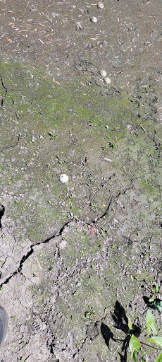 Public Golf Course «Apple Valley Golf Course», reviews and photos, 8661 140th St W, Apple Valley, MN 55124, USA