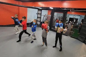 TKO Fitness MMA Club - formerly NY Ultimate Fit Zone image