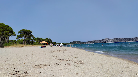 Plage de Schinias