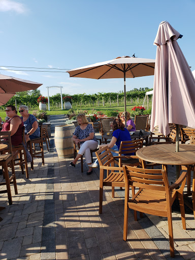 Winery «Northern Flow Vineyard», reviews and photos, 40635 NY-12, Clayton, NY 13624, USA