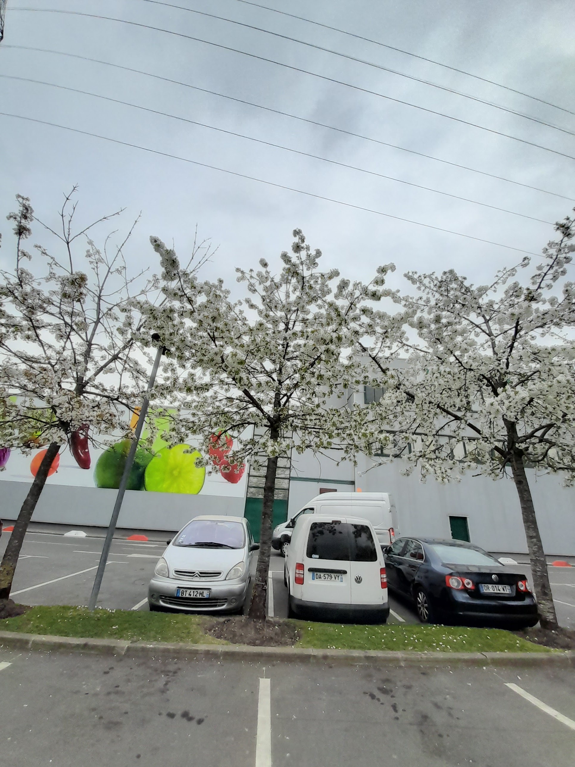 Photo n° 3 de l'avis de Mimi.f fait le 29/03/2022 à 19:32