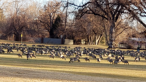 Golf Course «Elmwood Golf Course», reviews and photos, 3900 Thatcher Ave, Pueblo, CO 81005, USA