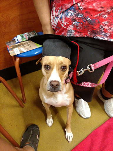 Pet Supply Store «PetSmart», reviews and photos, 131 Town Center Rd, King of Prussia, PA 19406, USA