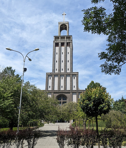 kostel sv. Hedviky