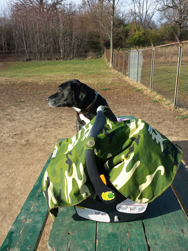 Nature Preserve «Schweitzer Woods Forest Preserve», reviews and photos, 16N690 Sleepy Hollow Rd, West Dundee, IL 60118, USA