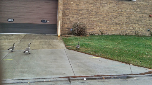 Mailing Service «United Delivery Service», reviews and photos, 1111 N Ridge Ave, Lombard, IL 60148, USA