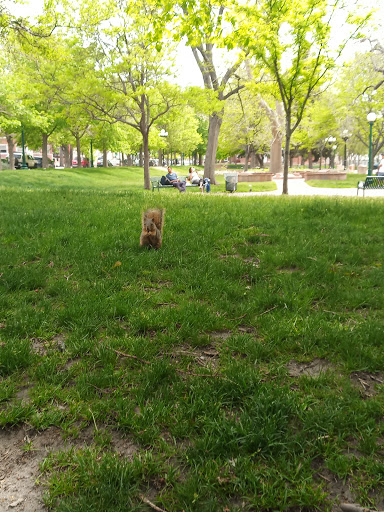 Park «Confluence Park», reviews and photos, 2250 15th St, Denver, CO 80202, USA