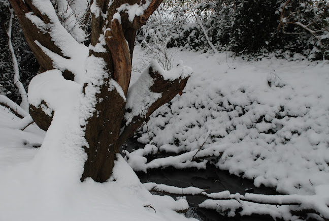 Brook Farm Open Space, London N20 9RA, United Kingdom