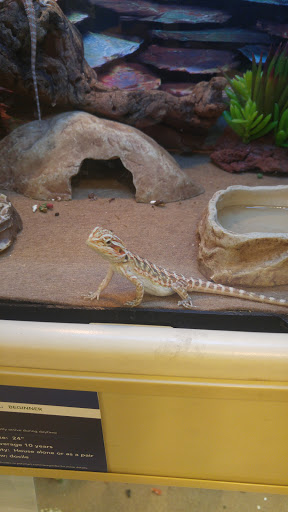 Pet Supply Store «PetSmart», reviews and photos, 1801 Howell Mill Rd NW, Atlanta, GA 30318, USA