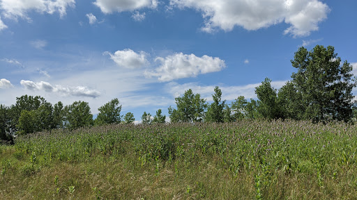 Golf Course «Heartland Crossing Golf Links», reviews and photos, 6701 S Heartland Blvd, Camby, IN 46113, USA