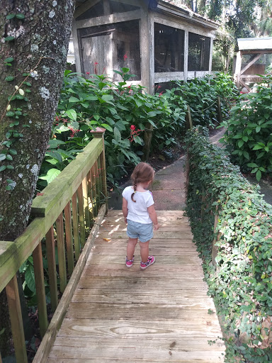 Nature Preserve «Tree Hill Nature Center», reviews and photos, 7152 Lone Star Rd, Jacksonville, FL 32211, USA