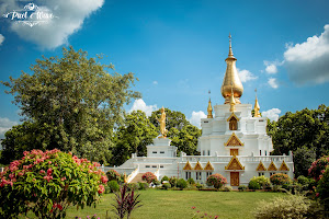 World Peace Pagoda Analayo image