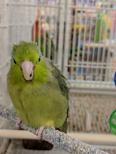 Pet Supply Store «Pet Supermarket, Inc.», reviews and photos, 598 N McCarran Blvd, Sparks, NV 89431, USA