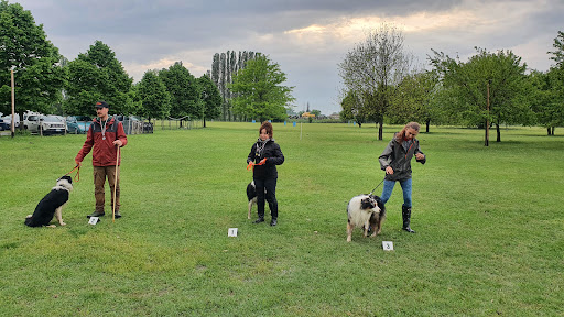 Pensioni per cani e dog hotel a Rem Village - Pensione per Cani