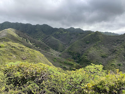 Hawaiʻi Loa Ridge Trail