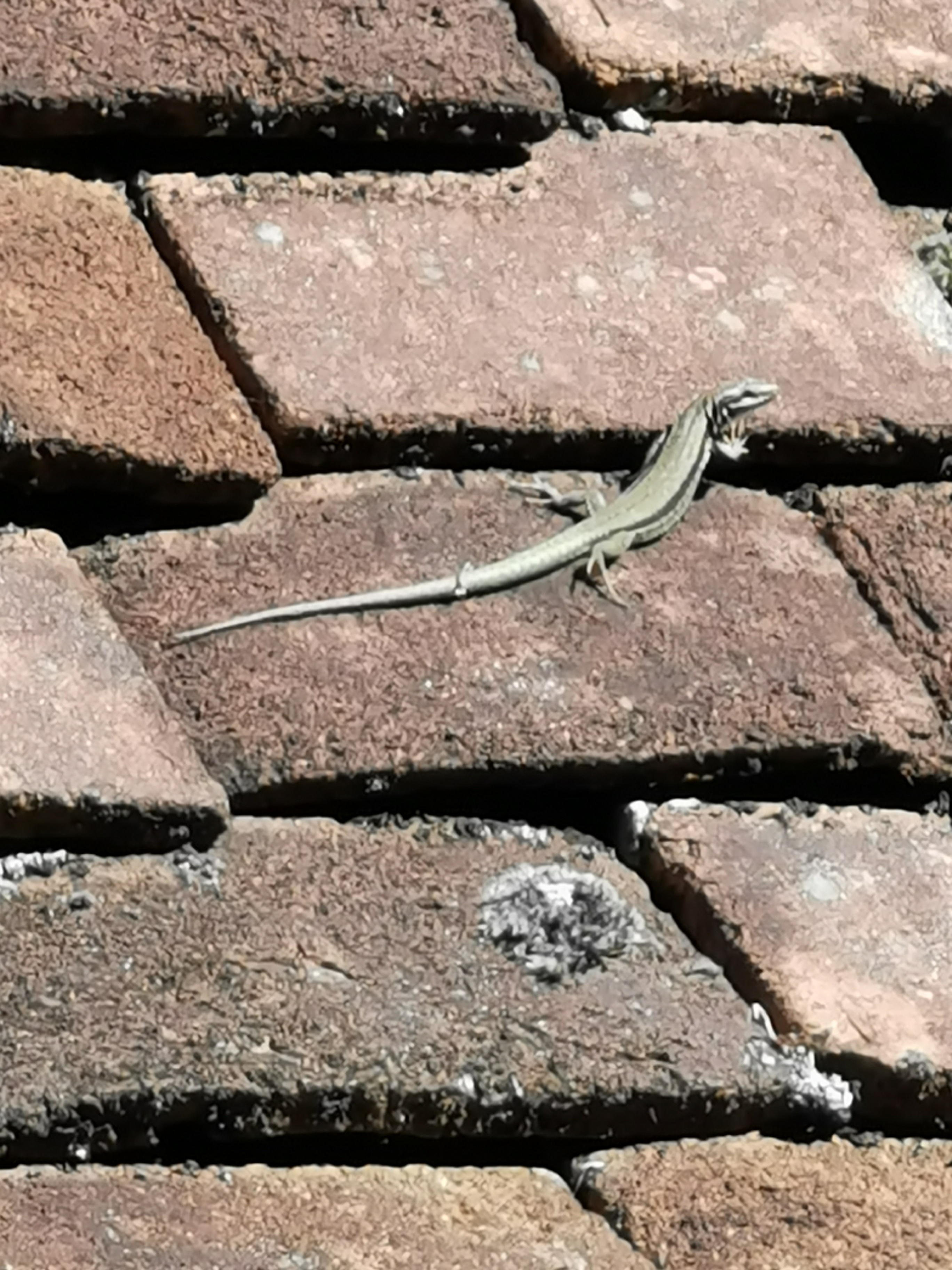 Photo n° 5 de l'avis de veronique.z fait le 10/09/2022 à 16:00