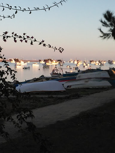 IES Saltes, Escuela secundaria en Punta Umbría,Huelva