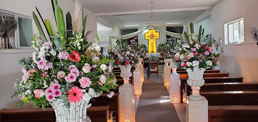 Floreria FLOR DE SANTA ELENA – Rioverde