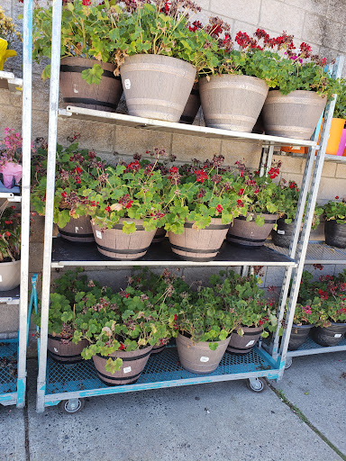 Warehouse club «BJ’s Wholesale Club», reviews and photos, 941 Rte 37 W, Toms River, NJ 08755, USA