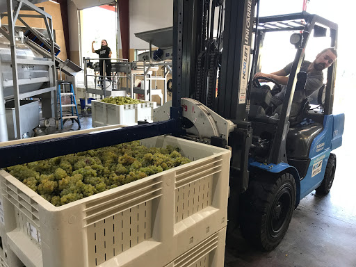 Vineyard «Archer Vineyard, Winery & Tasting Room», reviews and photos, 32230 NE Old Parrett Mountain Rd, Newberg, OR 97132, USA