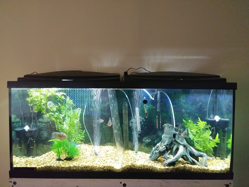 Pet Supply Store «PetSmart», reviews and photos, 42 Southgate Square, Colonial Heights, VA 23834, USA