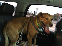 K & L Transportation of Pearland - Photo 8 - Car repair in , Pasadena