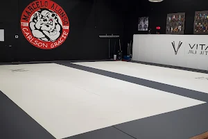 Vital Jiu Jitsu - Srisuk Muay Thai image
